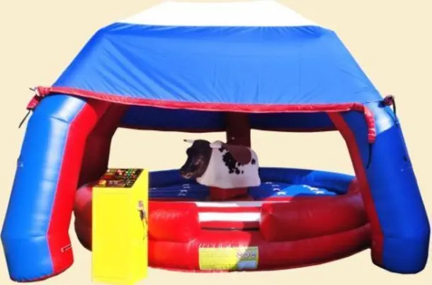 15ft X 15ft Rodeo Bull 4 Hours Party Party Big Slide 50ft Party Party Assault Course 18ftx18ft Party Party Castle