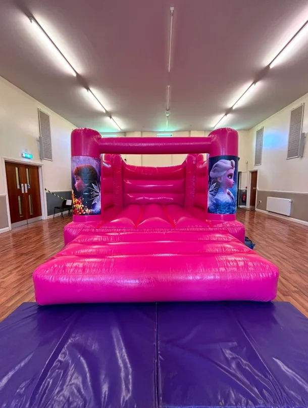 Frozen Pink Castle Hire