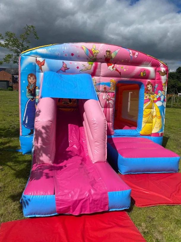 13ft X 17ft Pink Slide Castle