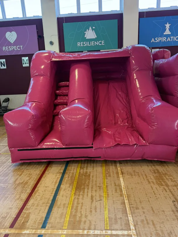 5ft Platform Pink Slide