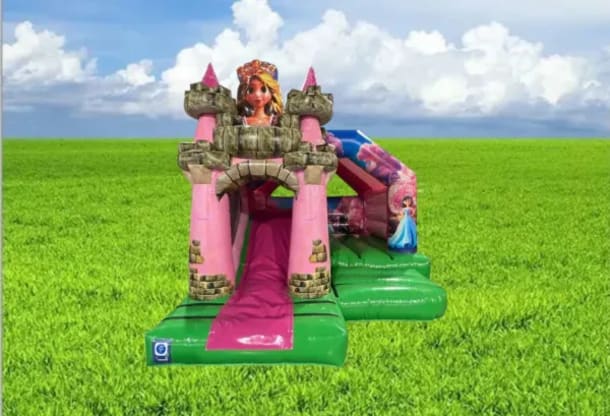 Purple And Blue Princess Castle With Front Slide