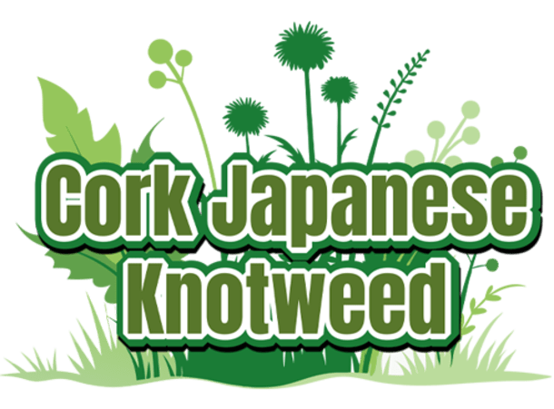 Japanese Knotweed Removal