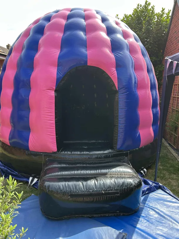 Pink And Purple Disco Dome