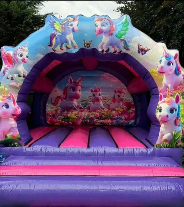 Curved Unicorn Castle