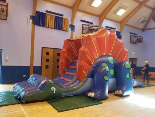 Dinosaur Slide