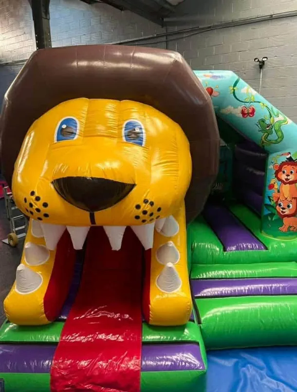 3d Lion Bounce And Slide