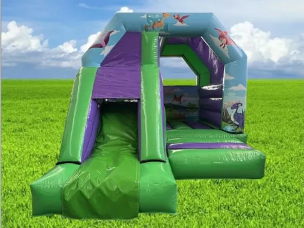 Dinosaur Combi Castle
