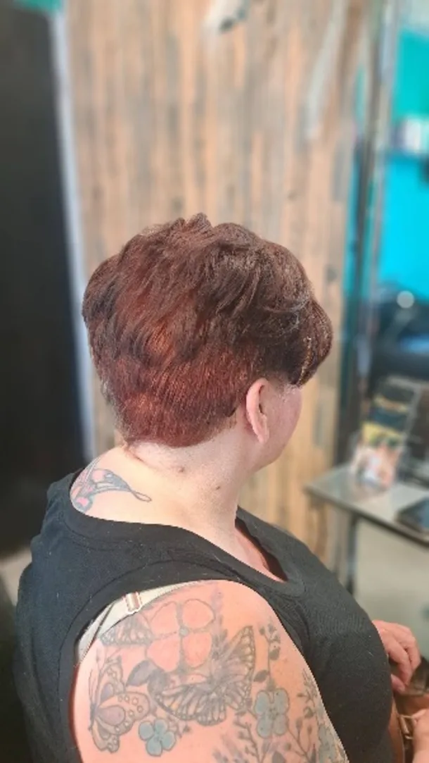 Root Touch-up In Ferryhill Hair Regrowth Colour  Shapeshift Hair And Beauty