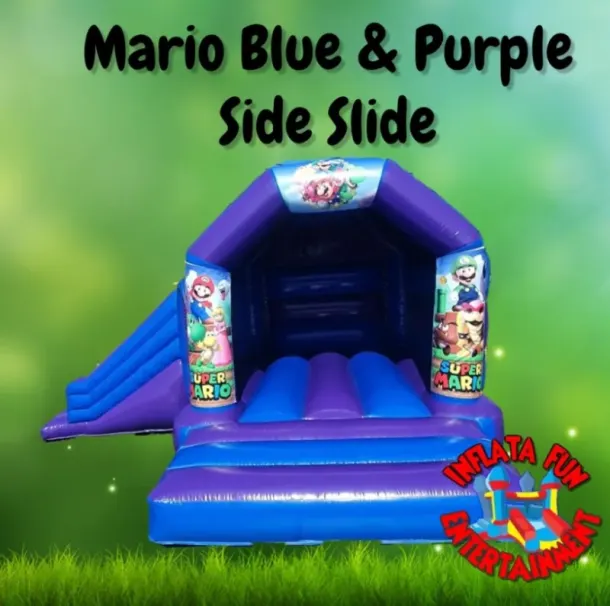 Mario Bros Blue And Purple Castle With Side Slide