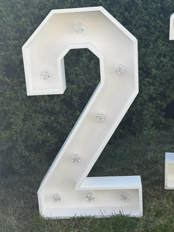 Led Number - 2
