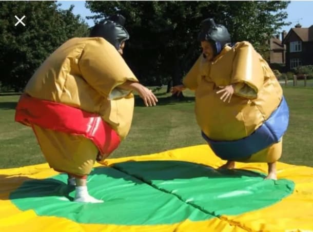 Adult Sumos Suits