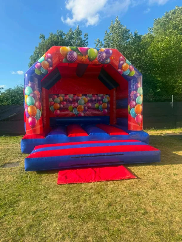 Red And Blue Adult Castle