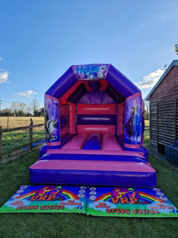 Frozen Pink And Purple Bouncy Castle