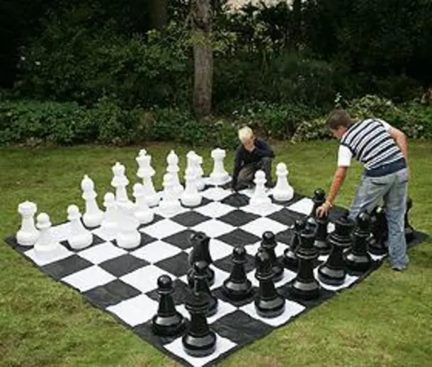 Giant Chess & Draughts Pieces With Pvc Mat Package