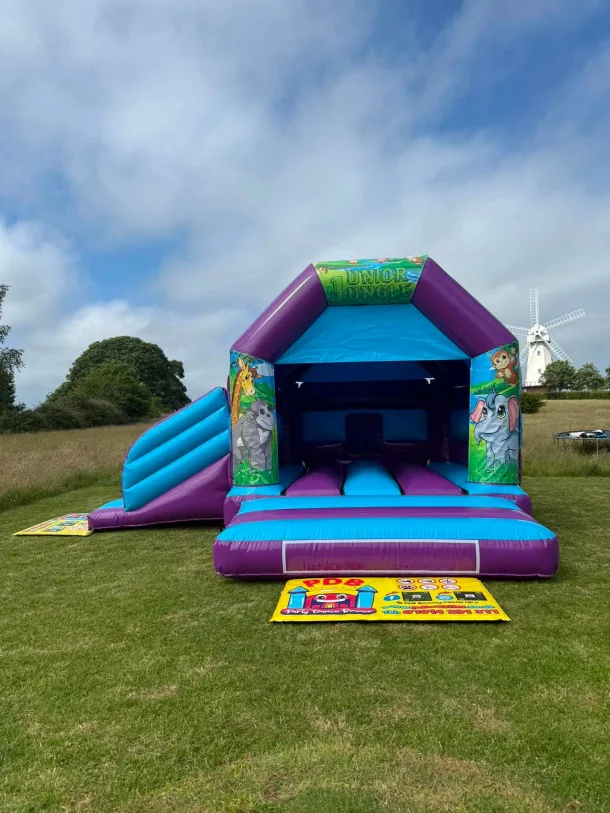 Jungle Themed Purple And Blue Bounce And Slide