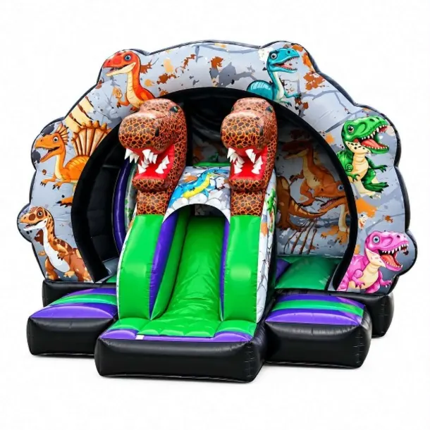 Dinosaur Curved Bounce Slide