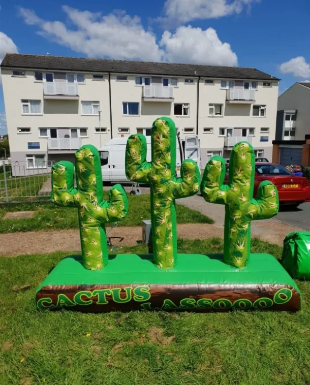 Hoopla Cactus Inflatable