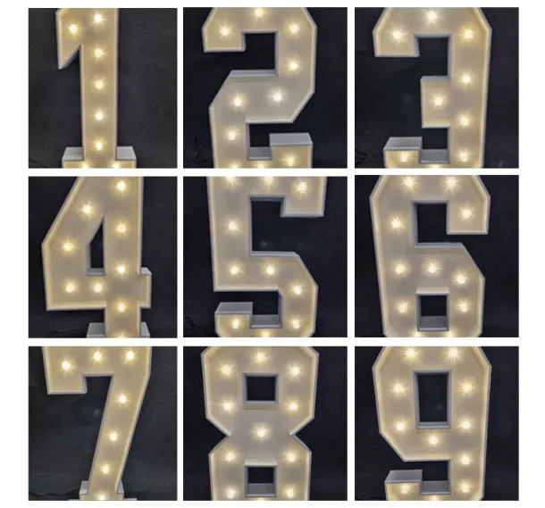 Number Lights 4ft 0-9 Available