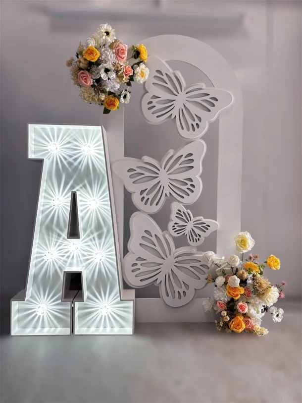 Butterfly Sailboard Setup