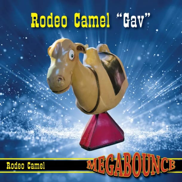 5pm - 11pm Time Slot Rodeo Bull Hire - Rodeo Camel - Skin