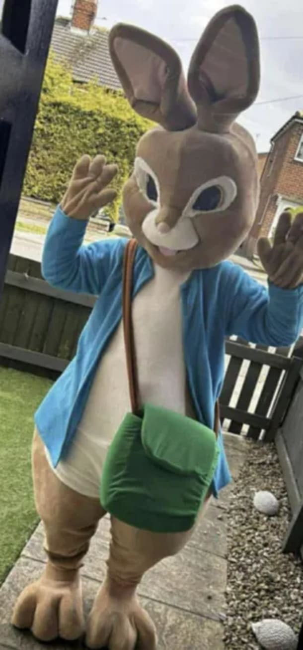 Peter Rabbit Mascot