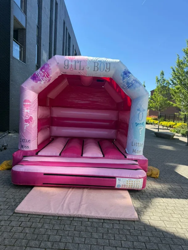 Gender Reveal Castle