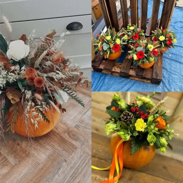 Diy Pumpkins