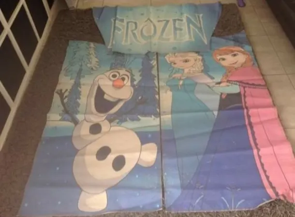 Frozen Artwork