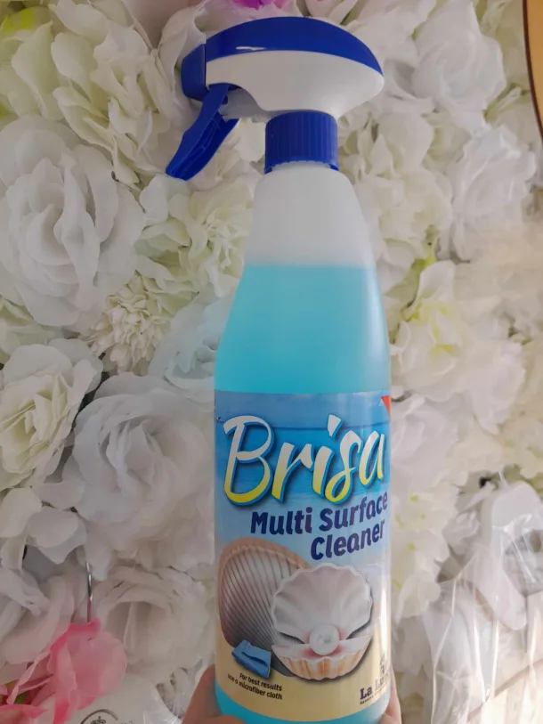 Ll Brisa Multisurface Cleaner