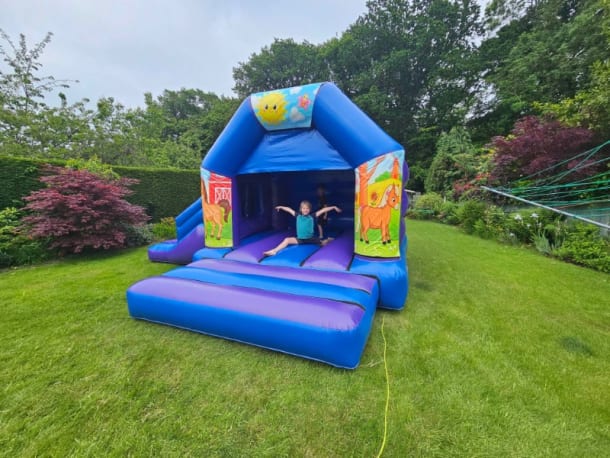 Horses Blue And Purple Disco Side Slide Combi Bouncy Castle