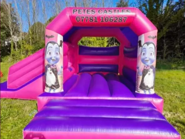 Pink Velcro Castle With Slide - Vampire Theme