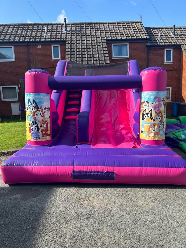 Pink And Purple 5ft 6 Platform Slide Bluey
