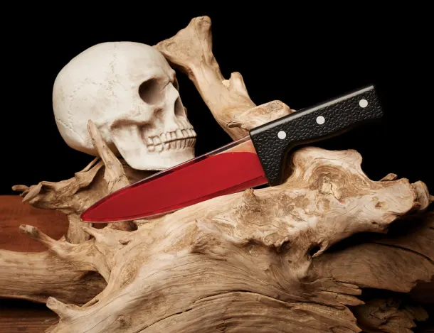Bleeding Kitchen Knife Prop