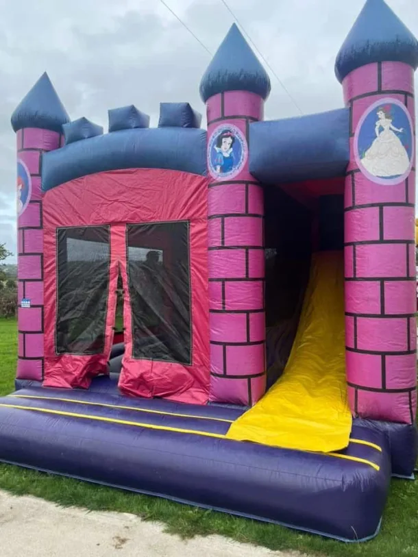 20ft X 20ft Princess Combi Bouncy Castle With Slide - Weekend Hire