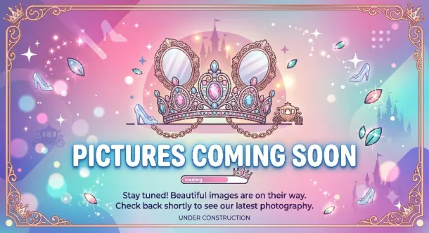 3d Princess Party Package