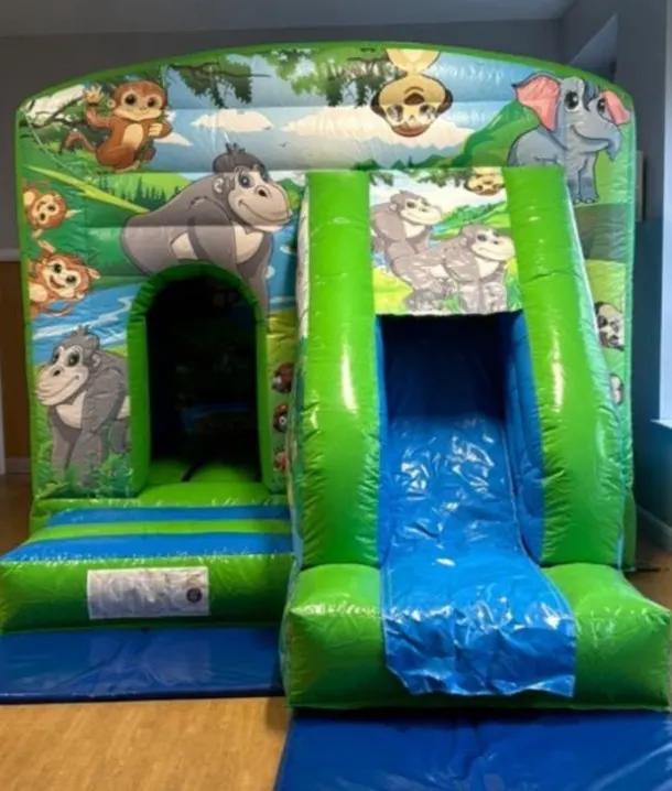 Jungle Front Box Combi