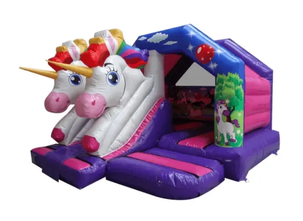 13 X 16 3d Unicorn Combi With Light And Speaker