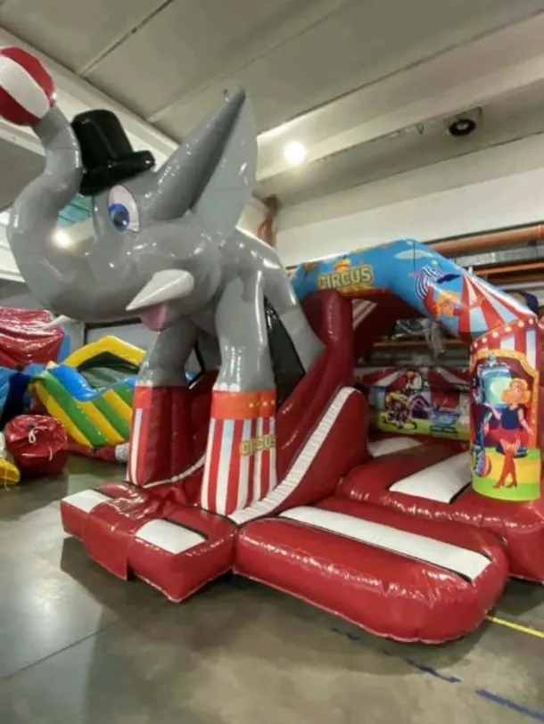 15x12ft 3d Circus Front Slide Combi