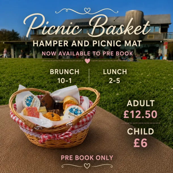 Picnic Hamper And Picnic Mat