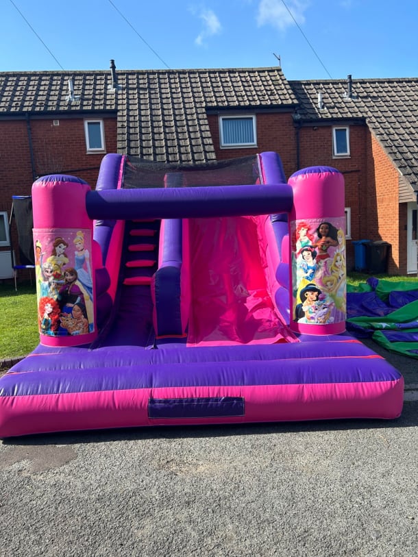 Princess Pink And Purple 5ft 6 Platform Slide