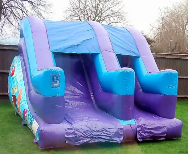 Party Theme 5ft Slide