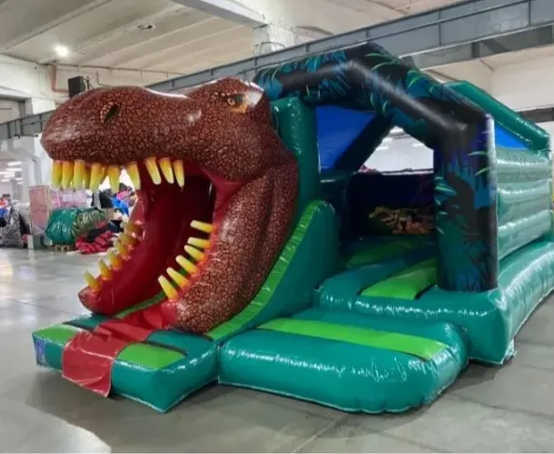 3d Dinosaur Bounce And Slide Bouncy Castle Combo