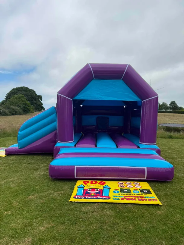 Purple And Blue Bounce And Slide