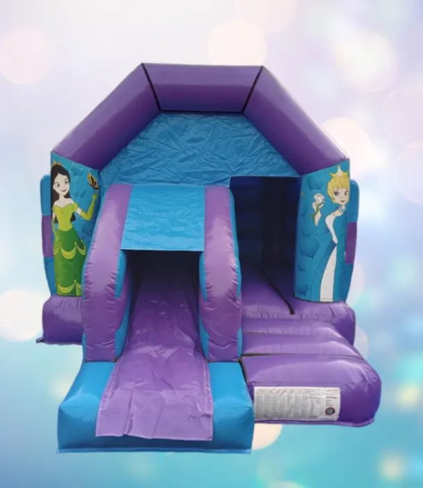 Princess Purple And Blue Front Slide