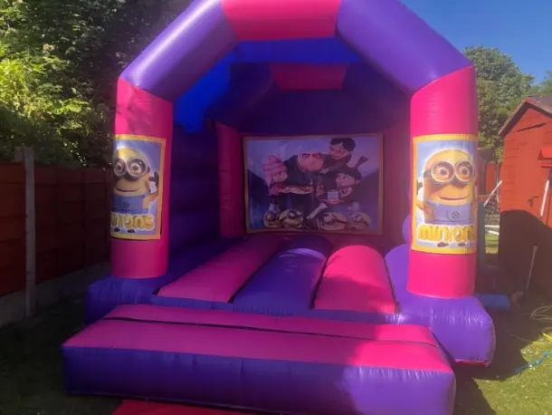 12ft X 12ft Pink And Purple - Minions Theme