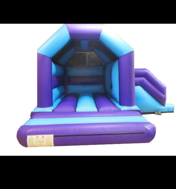 Bounce And Slide Castle