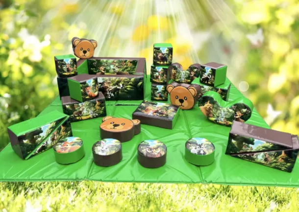 Woodland Teddy Bear Soft Play