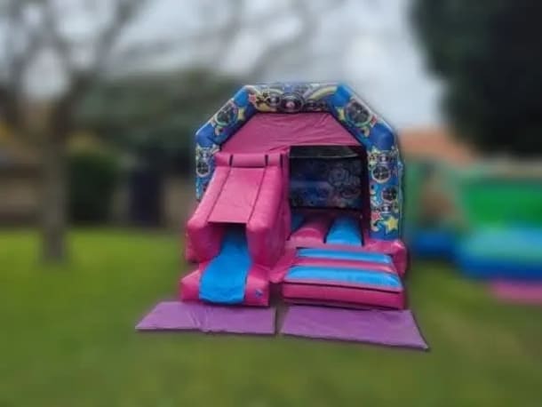 Blue And Purple With Slide 12ft X 18