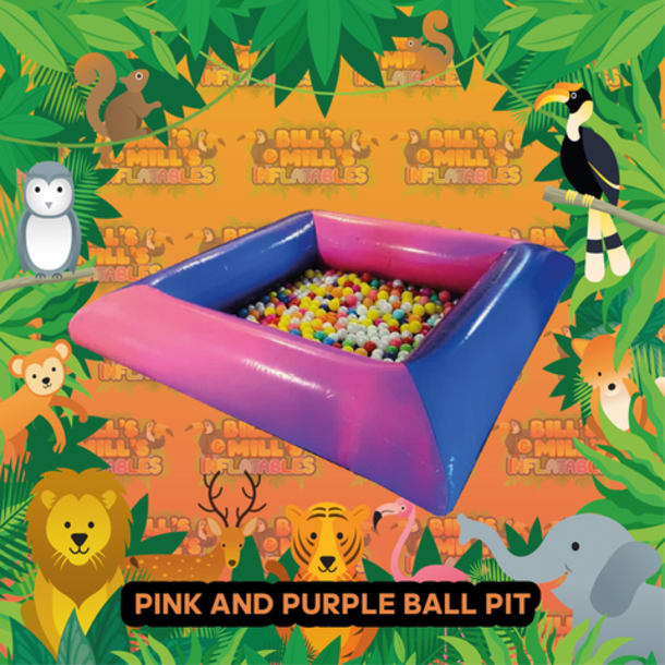 Pink And Purple Ball Pit