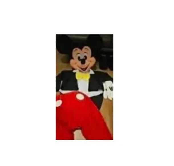 Mickey Mascot Hire